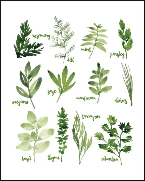 Easy Kitchen Decor, Herbs Image, Herbs Illustration, Watercolor Herbs, Herb Art, Herb Prints, Herb Wall, Whimsical Wall Art, Watercolor Plants