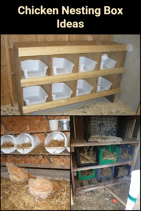 Chicken Nesting Box Ideas, Nesting Box Ideas, Chicken Laying Boxes, Nesting Boxes Diy, Chicken Boxes, Nest Boxes, Backyard Chicken Coop Plans, Chicken Nesting Boxes, Backyard Chicken Farming