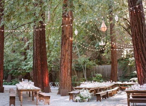 24 Woodsy Wedding Venues in Northern California | See Prices Deer Park Villa, Outdoor Wedding Venues California, Wedding Venues California, Bay Area Wedding Venues, Forest Wedding Venue, Northern California Wedding Venues, Marine Wedding, Redwood Wedding, California Outdoor