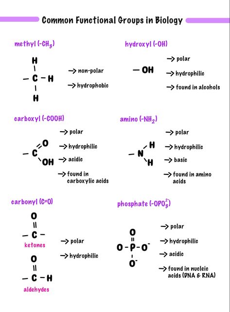 AP Biology & AP Chemistry Study Notes & Study Guides Study Guide Biology, Ap Biology Unit 1, Ap Chem Notes, Chemistry Notes Study Guides, Ap Bio Unit 1, Ap Bio Unit 2 Notes, Bio Chemistry, Ap Chemistry Notes, Chemistry Study Tips