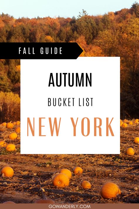 Find out what to do in NYC during fall. Explore top attractions and seasonal activities for your New York City vacation. Things To Do In New York, What To Do In Nyc, Fall In Nyc, Fun Restaurants In Nyc, Fall Nyc, New York Bucket List, Nyc Bucket List, Nyc Attractions, Things To Do In Nyc