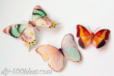 DIY Butterfly from plastic bottles | DIY 100 Ideas Butterfly Kaleidoscope, Diy Butterfly Decorations, Plastic Bottle Craft, Diy Outdoor Projects, Plastic Bottle Crafts Diy, Green Butterflies, Silk Butterfly, Reuse Plastic Bottles, Butterfly Hair Clips