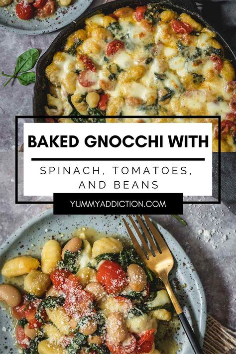 Comforting and healthy baked gnocchi with spinach and tomatoes is a great family dinner that looks gourmet enough to serve on date night too. Fresh seasonal tomatoes and pillowy gnocchi bake with fresh spinach, beans, and cheese for a flavor packed 25 minute meal. #healthy #gnocchi #dinner #tomatoes Mediterranean Gnocchi, Gnocchi Meals, Toasted Gnocchi, Dinner Tomatoes, Healthy Gnocchi, Gnocchi Dinner, Gnocchi Recipes Healthy, Gnocchi With Spinach, Gnocchi Bake