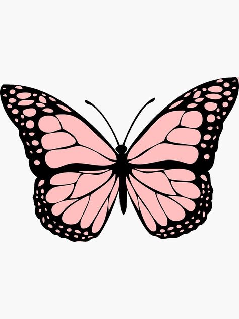 Pegatina «light pink butterfly» de karestolarczyk | Redbubble Butterflies To Draw, Black Pink Butterfly, Drawing Sites, Pink Drawing, Arte Indie, Butterfly Art Painting, Butterfly Wallpaper Iphone, Butterfly Drawing, Butterfly Painting