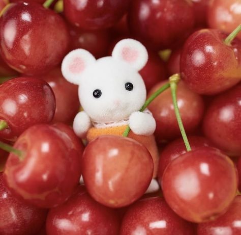 Calico Critters, Instagram Look, Look At, Cherry, Fruit, Twitter, On Instagram, Instagram