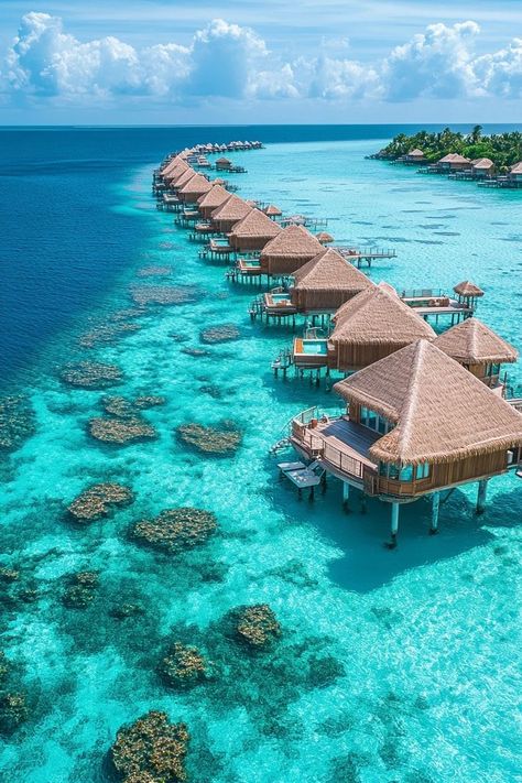 "Dreaming of paradise? 🌴🏝️ Experience ultimate luxury in overwater bungalows in the Maldives! Dive into crystal-clear waters and enjoy breathtaking views right from your private retreat. 🌊✨ #Maldives #OverwaterBungalows #TravelGoals" Maldives Bungalow, Overwater Bungalows, Tropical Destinations, The Maldives, Dream Travel Destinations, Incredible Places, Travel Goals, Amazing Architecture, Vacation Spots