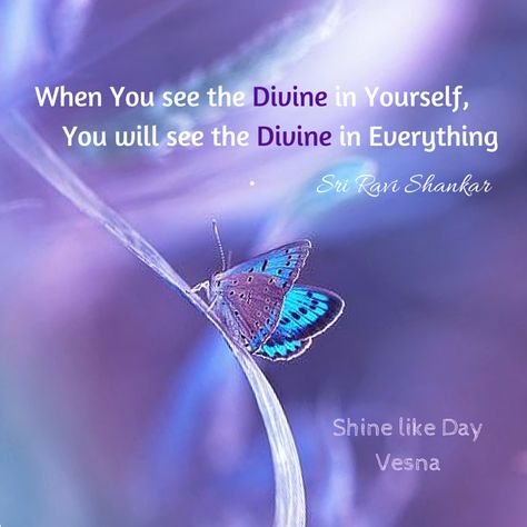 When YOᘮ see the Divine in YOᘮરself YOᘮ will see the #Divine in everything ︵‿‿… Divine Love Quotes, Blessings Quotes, Divine Blessings, Spiritual Wisdom, Role Model, Spiritual Inspiration, Empath, The Divine, Spiritual Awakening