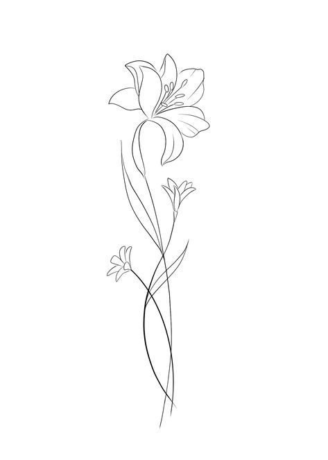 Simple Line Lily Tattoo, Daffodil Tattoo Drawing, Flower Single Line Drawing, Tattoos Of Lily Flowers, Alstromeria Tattoos, Lily Flower Spine Tattoo, Tiger Lily Drawing Simple, Iris Song Tattoo, Fine Line Floral Tattoos