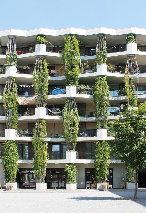 23 Spots You Shouldn’t Miss in Zürich If You Love Architecture | Virginia Duran Green Architecture Concept, Green Building Architecture, Biophilic Architecture, Eco Buildings, Green Apartment, Green Facade, Eco Architecture, Green Architecture, Architecture Exterior