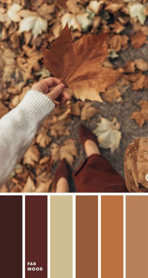 Brown autumn leaf color { Autumn Color Inspiration } #color #fall #autumn Pumkin Decoration, Brown Autumn, Autumn Leaf Color, Color Schemes Colour Palettes, Brown Color Palette, Brow Color, Fall Color Palette, Color Palette Design, Autumn Leaf