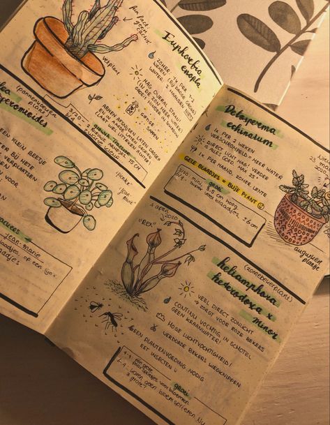 Plants Journal Ideas, Nature Notebook Ideas, Books On Plants, Nature Zine Design, Plant Notes Aesthetic, Plant Journal Aesthetic, Plant Diary Template, Taking Care Of Plants Aesthetic, Journal Ideas Plants