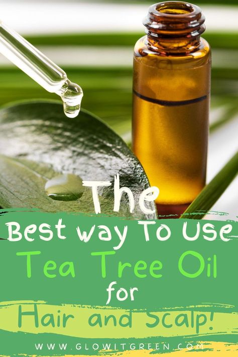 Find out how to get hair and scalp benefits of Tea Tree oil with Glowitgreen.com! This potent oil is fantastic for scalp issues and promoting hair growth! Tee Tree Oil For Hair, Tea Tree Hair Oil, Tea Tree Oil For Hair Dandruff, Tea Tree For Hair, Tea Tree Oil For Scalp, Tea Tree Oil For Hair Growth, Scalp Oil For Dry Scalp, Tea Tree Oil Uses For Hair, How To Use Tea Tree Oil For Hair