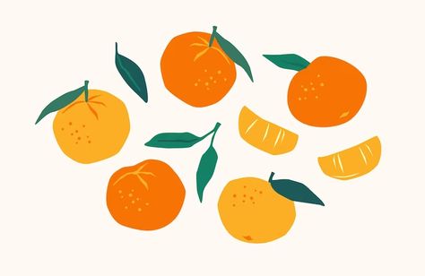 Happy New Year Vector, Fruit Clipart, Fruit Orange, Plant Vector, Fruit Illustration, Dog Vector, Citrus Fruits, Orange Art, Clipart Design