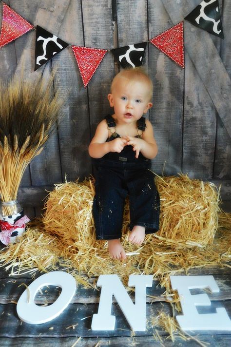 Baby's first birthday photo shoot, farm theme, Farm Theme 1st Birthday Photoshoot, Farm Birthday Photo Shoot, Farm Theme Photo Shoot, Baby First Birthday Photo Shoot, Backdrops Ideas, Cowboy Themed Birthday Party, Baby Tiara, 1st Rodeo, Barnyard Birthday Party