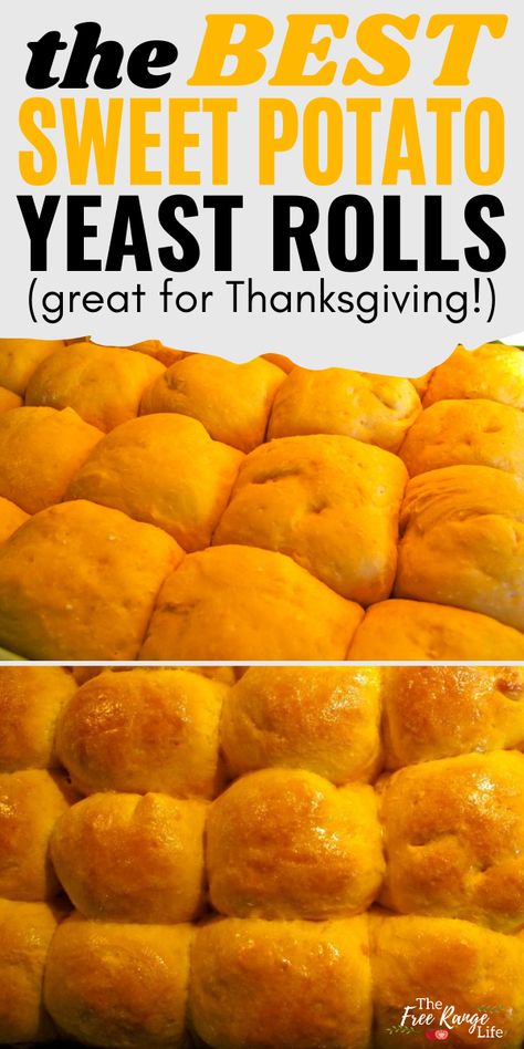 Sweet Potato Rolls In Bread Machine, Sweet Potato Dinner Rolls Recipe, Sweet Potato Yeast Rolls, Sweet Potato Yeast Bread, Sweet Potato Dinner Rolls, Holiday Rolls Thanksgiving, Sweet Potato Yeast Bread Recipe, Potato Yeast Rolls, Sweet Potato Roll