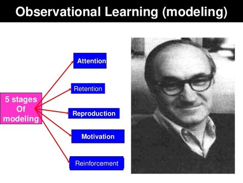 Observational Learning and Modelling: Of particular interest to me in my teaching area, was whether observational learning or exposure t... Observational Learning, Social Learning Theory, Self Efficacy, Clay Lesson, Conceptual Understanding, Developmental Psychology, Creative Teaching, Anatomy And Physiology, Learning Tools