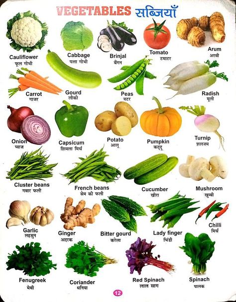 Vegetables Names With Pictures, Vegetables Name, Fruits And Vegetables List, Name Of Vegetables, Fruits Name In English, Vegetable Chart, Potatoes Green Beans, Broccoli Spinach, Carrots Broccoli