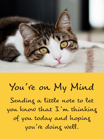 Brighten someone's day by getting this precious kitty over to them today to let them know they are on your mind. The caring look on the sweet kitty's face says it all and will certainly make them feel special. Plus, this thinking of you card expresses that you hope they are doing well. Be sure to send this kitty out soon so they can meet the person you are thinking of today. Thinking Of You Get Well Soon, Just To Let You Know Im Thinking Of You, Thinking Of You Today Quotes, Hope You Are Doing Well Quotes, Hello How Are You Doing Today, Thought Of You Today Quotes, Hope You Are Feeling Better, Hope You Are Feeling Better Today, Hope You Feel Better Quotes