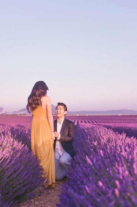 Lavender Field Proposal, Field Proposal, Surprise Proposal Pictures, Dreamy Proposal, Lavender Fields Photography, Dream Proposal, Field Engagement Photos, Proposal Pictures, Proposal Photos