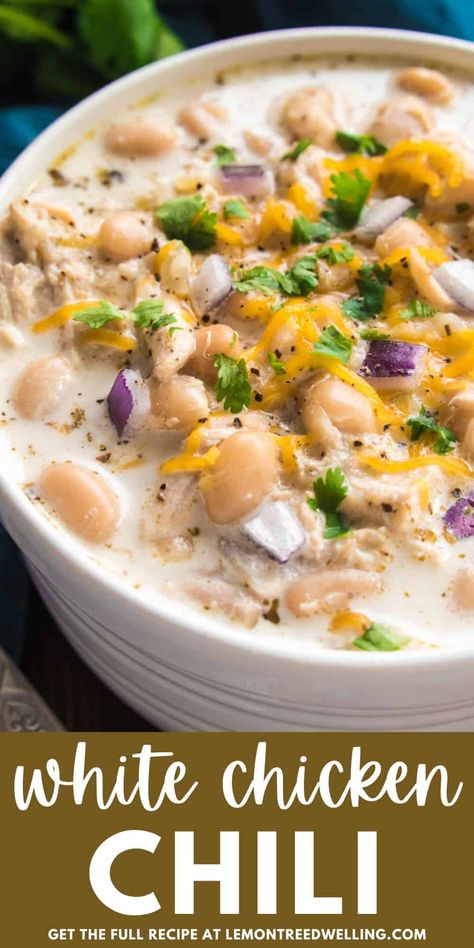 The BEST White Chicken Chili! Loaded with white beans, shredded chicken, green chiles, and the perfect blend of spices, this recipe comes together quickly and is always a crowd favorite. Enjoy it all on its own or with any of your favorite chili toppings! Plain Chicken White Chicken Chili, White Beef Chili Recipe, Asian Chicken Chili, White Chili With Ground Chicken, Ultimate White Chicken Chili, Smoked Chicken Chili White Beans, Crockpot White Chilli, White Bean Chicken Chili With Cream Cheese, White Bean Chicken Chili Dutch Oven