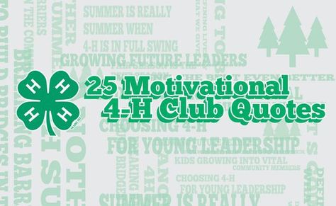 4 H Quotes. QuotesGram 4 H Officer Installation Ideas, 4-h Sayings, 4h Quotes Inspiration, 4h Sayings, 4h Decorations, Dustpan Cookies, 4 H Poster Ideas, 4h Quotes, 4 H Project Ideas