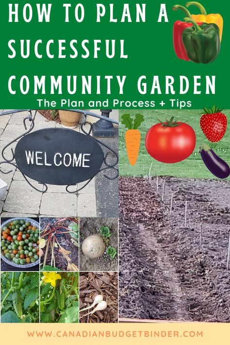 community gardening tips and how to plan a successful garden for your neighbourhood Community Garden Plot Ideas, How To Start A Community Garden, Community Garden Ideas Inspiration, Community Garden Ideas, Community Garden Design, Horticultural Therapy, Community Playground, Victory Gardens, Church Community