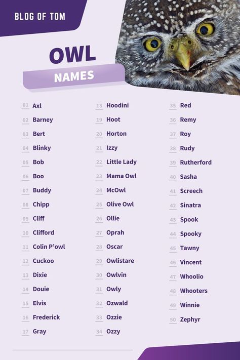 Owl Names The Owl House Characters Names, Names For Animals, Owl Names Ideas, Wolf Pack Name Ideas, Fantasy Pet Names, Animal Names, Names For Magical Creatures, Fantasy Town Names, Harry Potter Tea Party