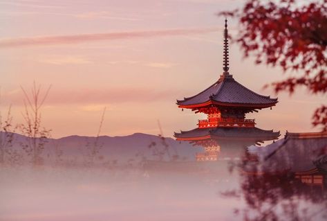 Kyoto Photography Locations - A Guide to Photogenic Wonders of Kyoto Kyoto Photography, Japan Landscape, Photography Location, Popular Travel Destinations, Japan Photography, Landscape Photography Tips, Scenery Photography, Travel Photography Tips, Japanese Landscape