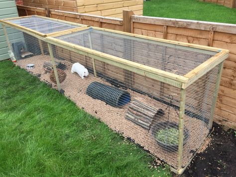 Homemade Rabbit Run                                                                                                                                                                                 More Rabbit Ideas Outdoor, Rabbit Enclosure Ideas Outdoor, Outside Cage For Rabbits, Diy Bunny Run Outdoor, Outside Guinea Pig Enclosure, Outdoor Rabbit Run Diy, Rabbit Outdoor Play Area, Homemade Rabbit Cage Outdoor, Rabbit Outdoor House Ideas