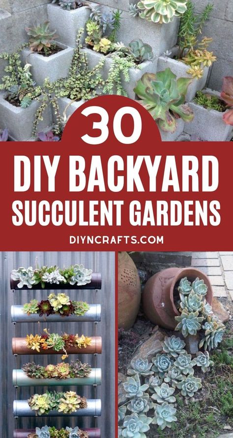 You'll love this list of 30 backyard succulent gardens! Tons of designs for adding beauty and life to your yard with little effort! A gardener's dream! Check out all of the unique vertical succulent gardens, designs for garden spaces, and amazing succulent planters. #Succulents #SucculentPlanter #SucculentGarden #BackyardGarden #Gardening #Cactus Container Succulents Ideas, Vertical Succulent Planter, Rustic Garden Decor Ideas Backyards, Succulent Waterfall, Hanging Succulents Outdoor, Unique Succulent Planter Ideas, Cactus Garden Outdoor, Wall Succulents, Cactus Display