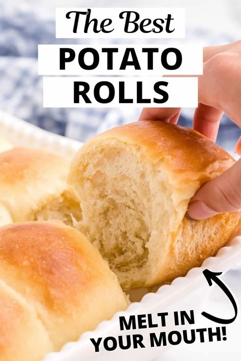 These potato rolls are extra soft, fluffy, and basically the best dinner rolls ever. Perfect for Thanksgiving, the holidays, or any time! Amish Dinner Rolls, Potato Bread Rolls, Potato Dinner Rolls Recipe, Potato Roll Recipe, Harvest Treats, Potato Dinner Rolls, Best Dinner Rolls, Potato Rolls Recipe, No Yeast Dinner Rolls