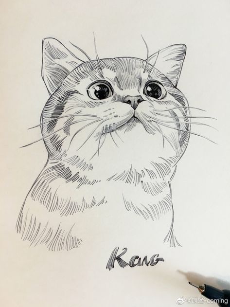 Kang Meng, Cat Drawing Sketches, Cat Drawing Ideas, Cats Art Drawing, Cute Cat Drawing, Cat Sketch, Cats Drawing, Drawing Faces, Drawing Cat