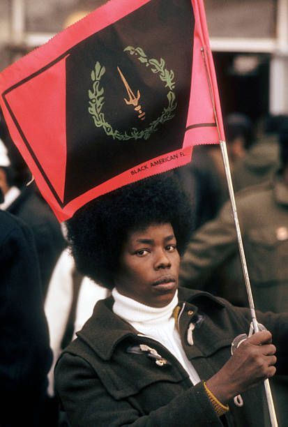 Black American Heritage Flag, Black Panthers Movement, Black American Culture, African American Flag, Fred Hampton, Black American Flag, I Love Being Black, Black Panther Party, African American Culture