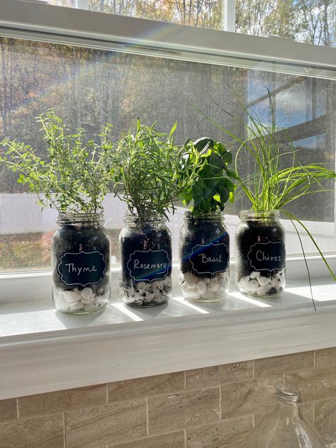 Growing Herbs Indoors Mason Jars, Kitchen Herbs Ideas, Windowsill Garden Aesthetic, Herb Plants In Kitchen, Indoor Herb Garden Diy Apartments, Mason Jar Herb Garden Indoor, Plant Ideas Indoor, Herb Garden Window, Plants Ideas Indoor