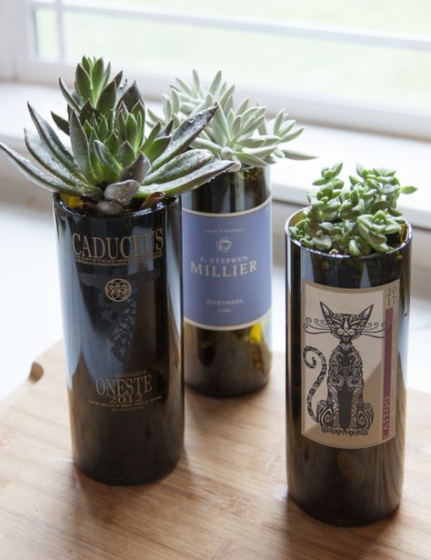 DIY Wine Bottle Planters: Upgrade your old bottles into fabulous planters every wine enthusiast & plant lover can apprecitate! Cool Wine Bottle Ideas, Wine Bottle Diy Decor, Wine Bottle Upcycle Ideas, Wine Bottle Planter Diy, Old Bottles Diy, Wine Bottle Uses, Glass Wine Bottles Diy Craft Ideas, Wine Bottle Plants Ideas, Wine Bottle Design Ideas