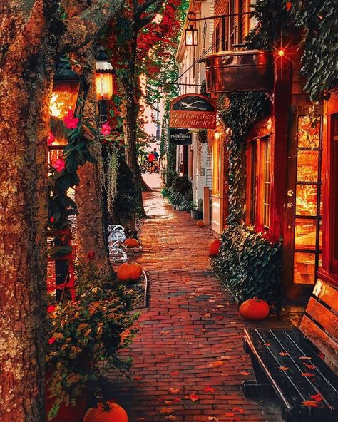 Anar - Simply Unique Space on Instagram: “Cozy fall streets of Nantucket 🍁My city isn’t that pretty in fall. Where have you seen most beautiful fall? Quebec was the most gorgeous…” Cozy Fall Asthetic Photos, Romance Bookstore, Fall Ambiance, Autumn House, Fall Outside, Fall Scenery, Autumn Cottage, Fall House, Autumn Street