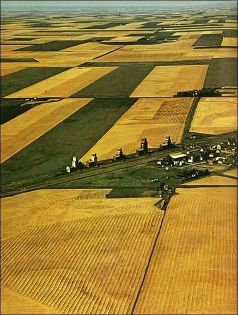 The Great Regina Plain, Saskatchewan. The size of Canada's territory posed a tremendous task for the early surveyors. Following a system devised in 1871, consisting of townships 6 miles square, each containing 36 sections of 640 acres, the Dominion land surveyors began to lay out the huge prairie checker board. One third of the distance between the 49th and 60th parallels across the width of the prairies was completed by 1910. With only minor adjustments, these early survey lines remain today. Farming Photo, Canadian Prairies, Grain Elevators, Farm Land, Case Tractors, Canada Eh, Saskatchewan Canada, O Canada, Of Montreal