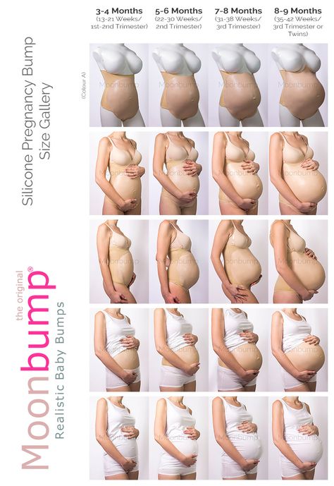 Moonbump Silicone Pregnant Belly Size Gallery: 3-4, 5-6, 7-8 and 8-9 Months 5 Month Belly Bump, Pregnant Belly 5 Months, 4 Months Pregnant Belly Twins, Six Months Pregnant Belly, Pregnant Belly Month By Month, 4months Pregnant Belly, 5months Pregnant Belly, Pregnant Belly Reference, Four Months Pregnant Belly