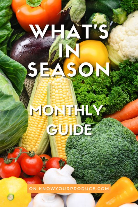 What Food Is In Season, Fall Season Vegetables, Fruit And Veggies In Season, Fruit And Vegetable Season Chart, February Fruits In Season, Seasonal Fruit And Vegetable Chart, Spring Vegetables In Season, Fall Seasonal Fruits And Vegetables, Winter Vegetables In Season