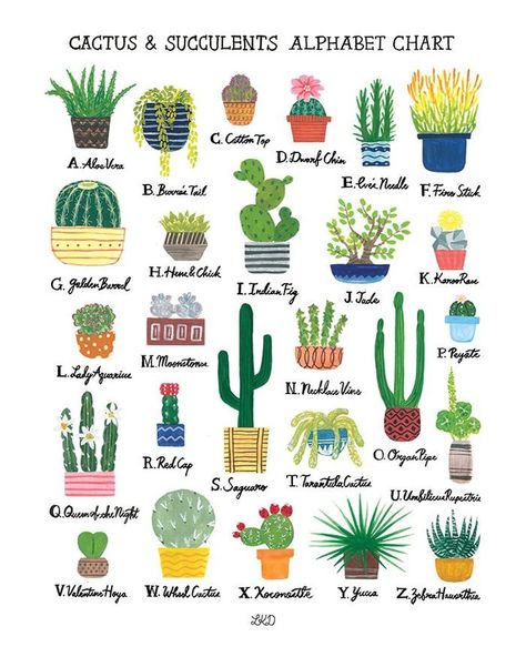 @etsy on Instagram: “Want this succulent chart? Welcome to day 2 of our 2018 #EtsyBestNine giveaways! We’re looking back at some of our top-liked posts of 2018,…” Types Of Cactus Plants, Cactus Names, Succulents Illustration, Kaktus Dan Sukulen, Succulent Images, Cactus Art Print, Indoor Cactus, Cactus Planta, Cactus Types