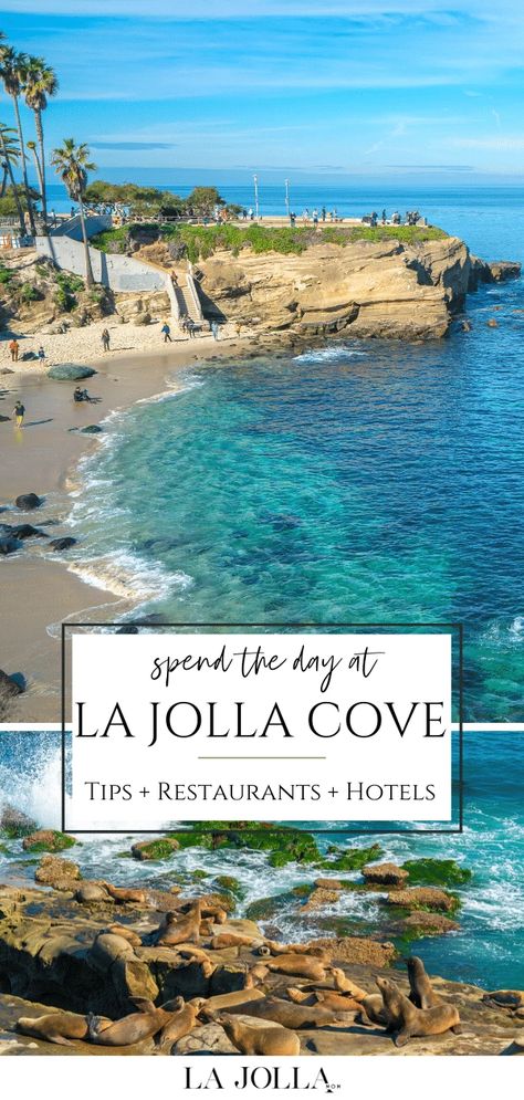 La Jolla California Outfit, La Jolla Beach San Diego, La Jolla Cove San Diego, Sam Diego, Parking Tips, San Diego Bucket List, San Diego Activities, Luxury Family Travel, La Jolla San Diego