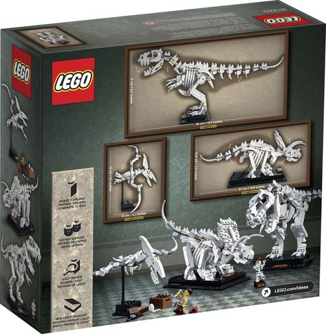 LEGO IDEAS - Blog - Introducing LEGO® Ideas 21320 Dinosaur Fossils Roses Bedroom, Lego Dinosaur, Skeleton Figure, Skeleton Model, Lego Diy, Lego Creative, Lego Room, Dinosaur Gifts, Building Instructions