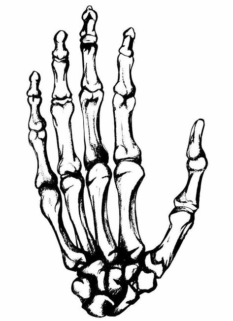 Skelly Hand Drawing, Skull Hand Stencil, Skeleton Hand Stencil, Skeleton Hand Illustration, Skull Hand Tattoo Stencil, Skeletal Hand Drawing, Skeleton Hand Tattoo Stencil, Skeleton Hands Tattoo, Skeleton Tattoo Hand