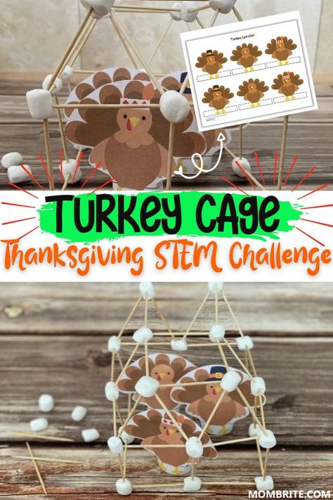 Turkey Cage Stem, Thanksgiving Challenge, Thanksgiving Stem Activities, Thanksgiving Play, Thanksgiving Stem, November Classroom, Thanksgiving Activities Preschool, Food Thanksgiving, Thanksgiving Lessons