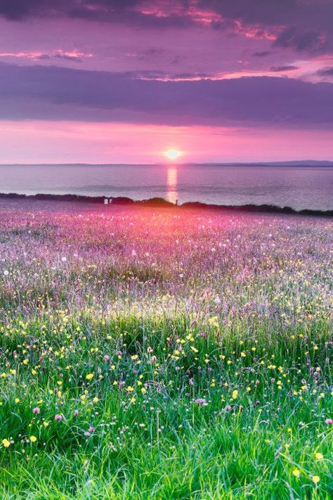 Spring is the best time to see Ireland's wildflowers, especially if you visit Burren National Park on Ireland's west coast. If you're planning a visit to Ireland, make it in the month of May for a spectacular display of colour and sunshine. The east side of the Burren is off the beaten track. Its magic awaits! | Blog by all the ways you wander | we travel to inspire | #ireland #irelandtravel #travelphotography #hiking #clare #wildflowers #spring #offseason #nature Beautiful Ireland Landscapes, Irish Landscape Aesthetic, Ireland Landscape Photography, Spring Photos Nature, Spring In Ireland, Ireland Landscape Nature, Ireland In Spring, Nature Ireland, Ireland Scenery