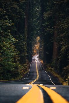 Avenue Of The Giants, Road Photography, Beautiful Roads, Image Nature, The Giants, Landscape Photography Nature, Best Background Images, Photo Background Images, Landscape Pictures