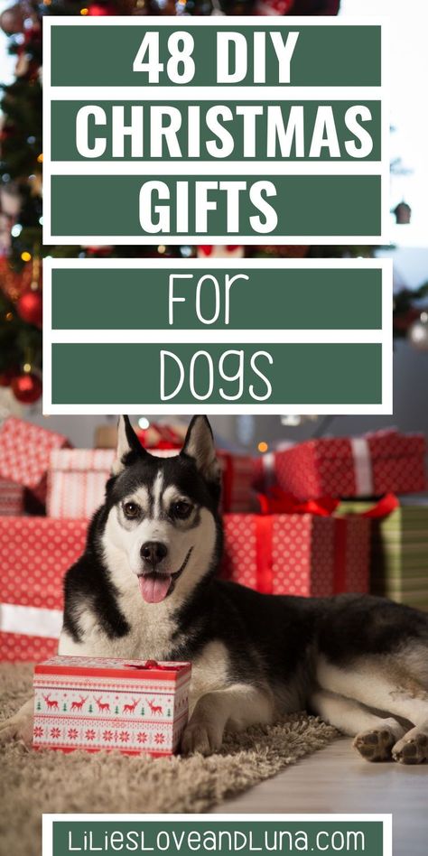 Dog Christmas Gifts Diy, Diy Christmas Gifts For Dogs, Diy Gifts For Dogs, Dog Gifts For Christmas, Dog Gift Ideas Diy, Stocking Stuffers For Dogs, Dog Gifts For Dogs, Christmas Crafts With Dogs, Diy Dog Gifts Christmas