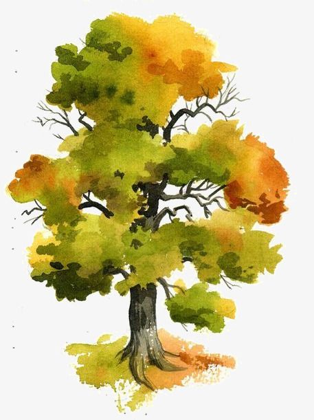 자작나무 그림, Watercolour Trees, Tree Watercolor Painting, Mc Escher, Watercolor Paintings For Beginners, Watercolor Pictures, Watercolor Tree, Watercolour Inspiration, Watercolor Paintings Easy