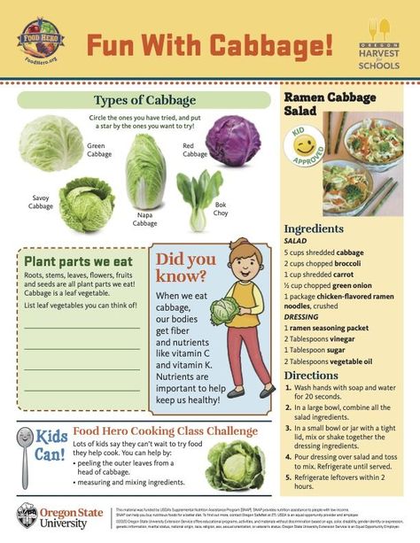 There are multiple types of cabbage, and so much fun to be had with it! Check out this monthly to learn more! #cabbage #vegetable Cabbage Vegetable, Types Of Cabbage, Cabbage Plant, Leaf Vegetable, Savoy Cabbage, Napa Cabbage, Cabbage Salad, Parts Of A Plant, Shredded Carrot