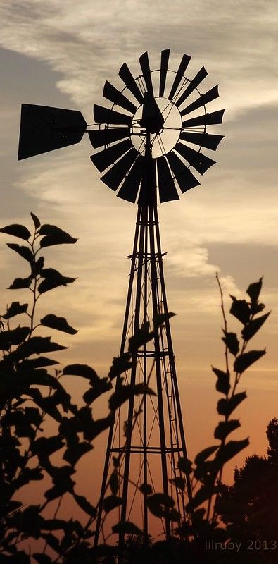 Windmill silhouette | lilruby | Flickr Country Scenes Scenery, Country Scenes Farms Landscapes, Windmill Silhouette, Clock Tattoos, Farm Windmill, Windmill Water, Farm Scenes, Old Windmills, Shadow Pictures